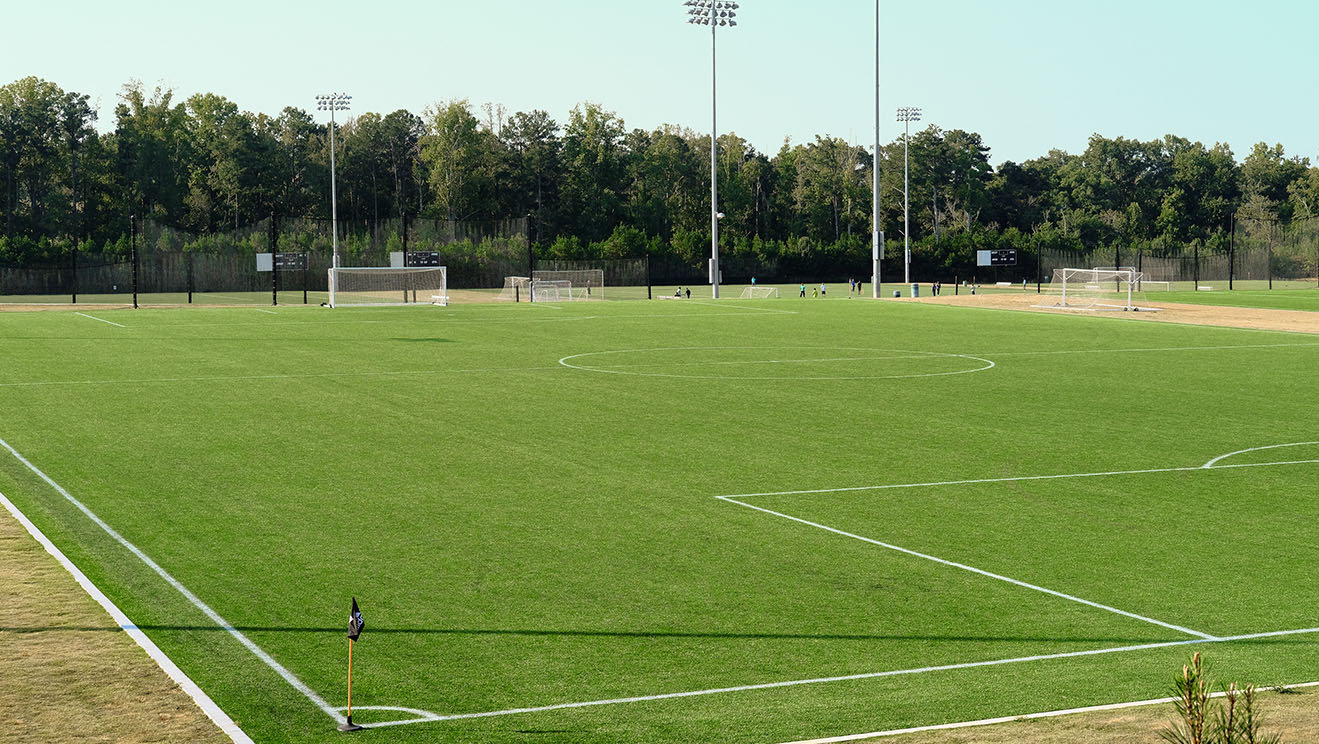 Fresh Mowed and Striped Soccer Field from Above