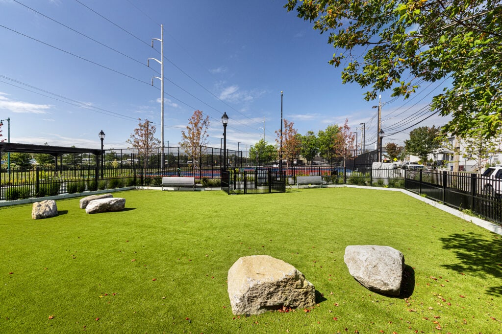 Dog park with synthetic turf and play boulders