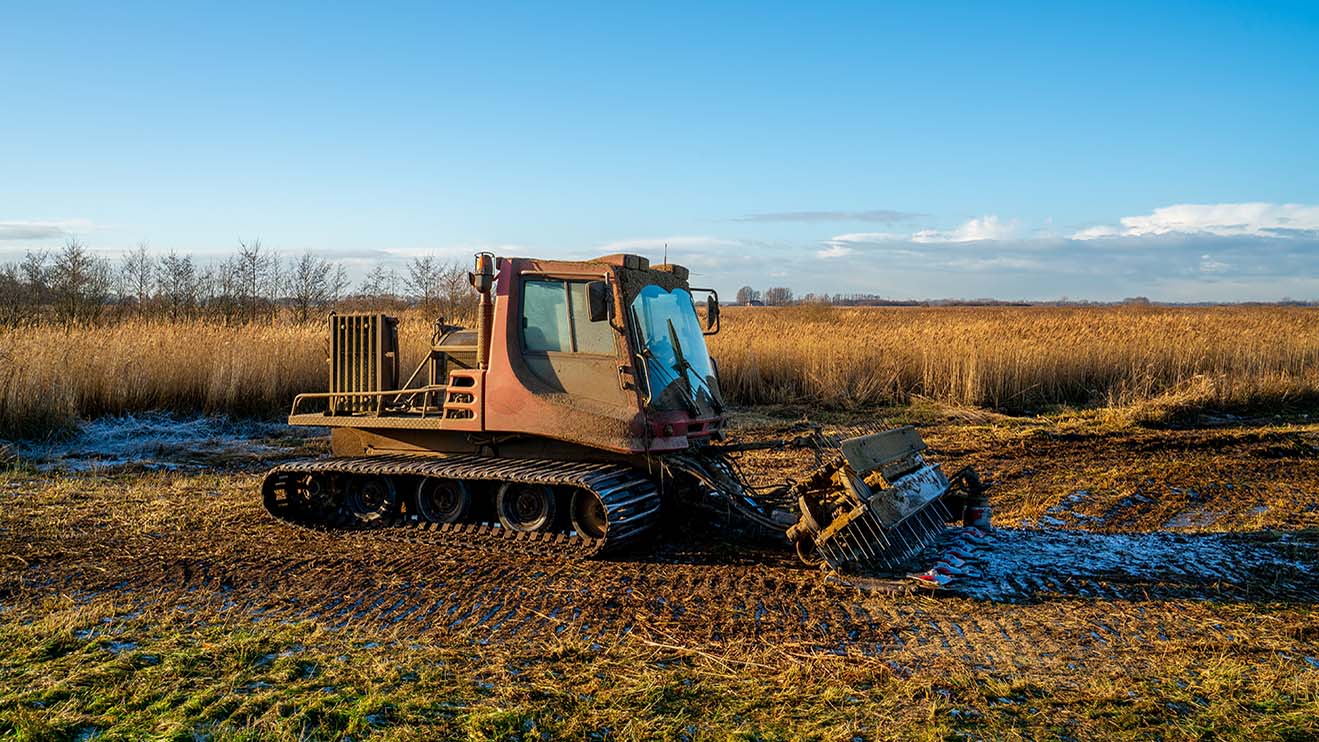 Caterpillar machine to mow and collect reed in a swamp