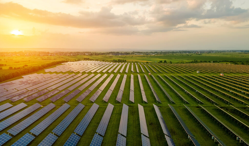 A vast solar field at sunset